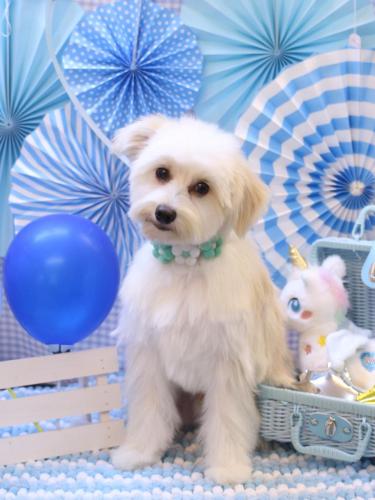 20231108風太郎くん